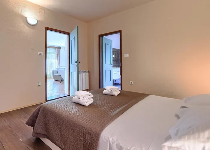 Elli By Interhome Villa Tinjan